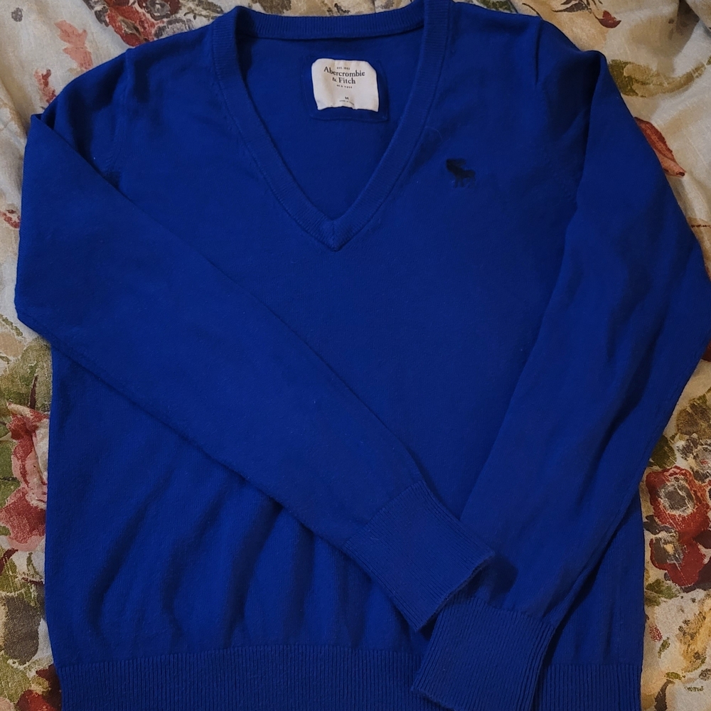 Abercrombie & Fitch Royal Blue V-Neck Sweater